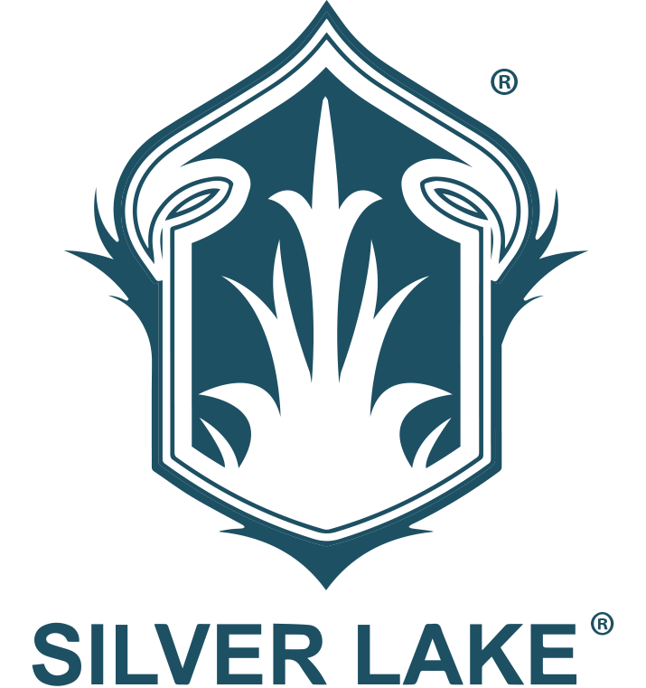 Silver Lake Sinks